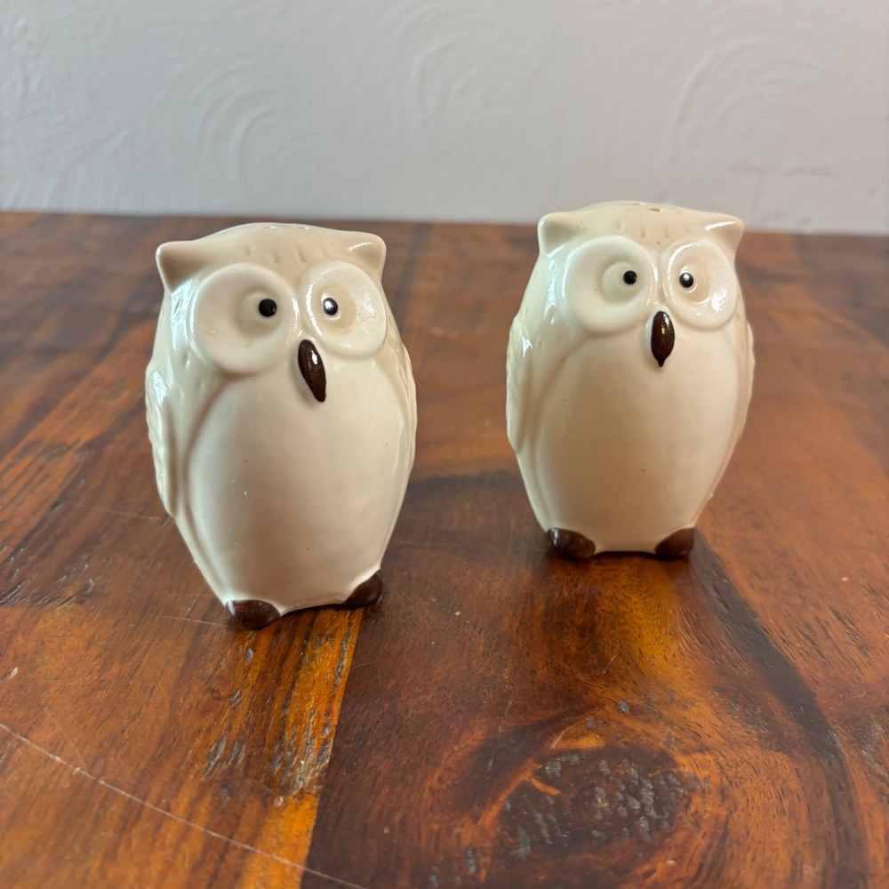 Pier One Imports Ceramic Owl Salt and Pepper Shakers Cream Brown Set of 2